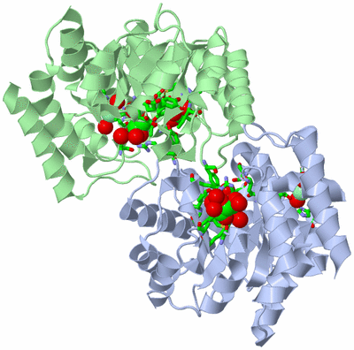 Image Biol. Unit 1 - sites