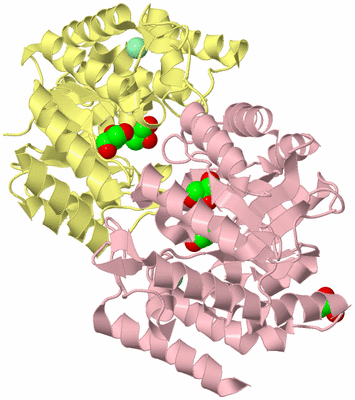 Image Biological Unit 2