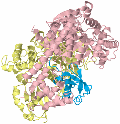 Image Biological Unit 1