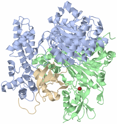 Image Biological Unit 2