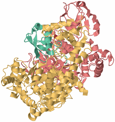 Image Biological Unit 3