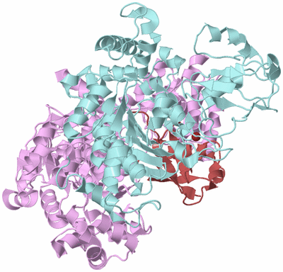 Image Biological Unit 4