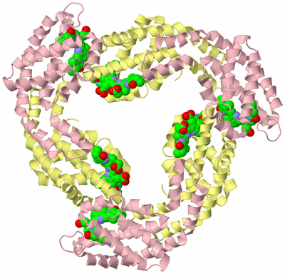 Image Biological Unit 2