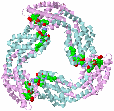 Image Biological Unit 3