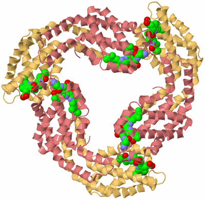 Image Biological Unit 4