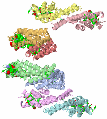 Image Asym. Unit - sites