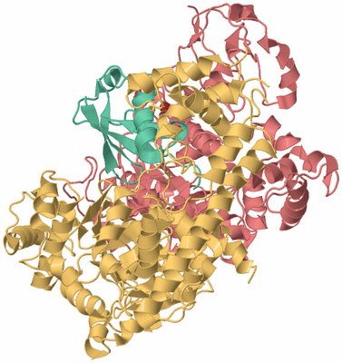 Image Biological Unit 1