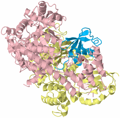 Image Biological Unit 2