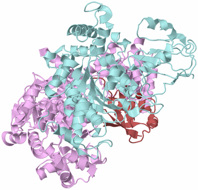 Image Biological Unit 3