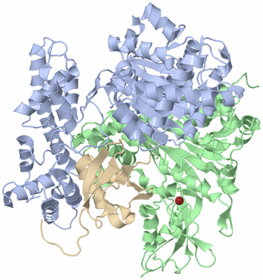 Image Biological Unit 4