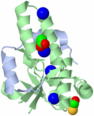 Image Asym./Biol. Unit