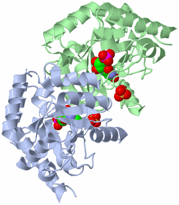 Image Asym./Biol. Unit