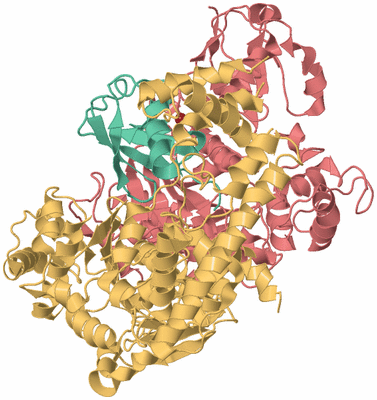 Image Biological Unit 2