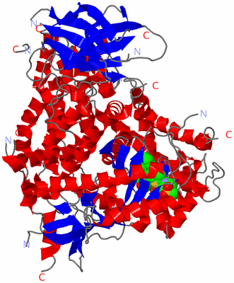 Image Asym./Biol. Unit