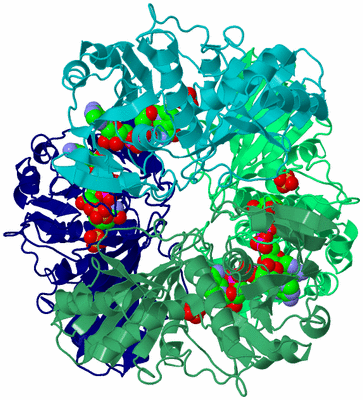 Image Asym./Biol. Unit