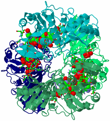 Image Asym./Biol. Unit - sites