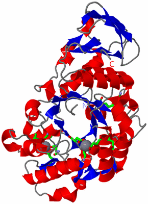 Image Asym./Biol. Unit - sites