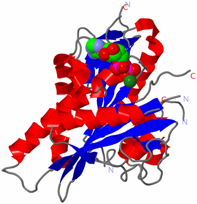 Image Asym./Biol. Unit