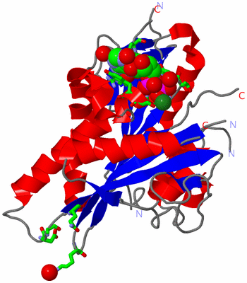 Image Asym./Biol. Unit - sites