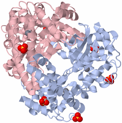 Image Biological Unit 1