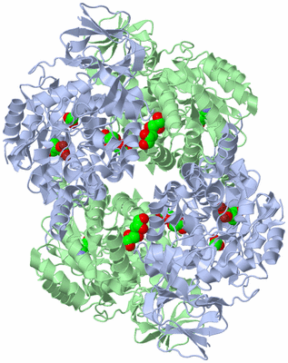 Image Biological Unit 1