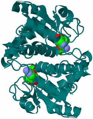 Image Biological Unit 1