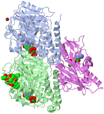 Image Asym./Biol. Unit