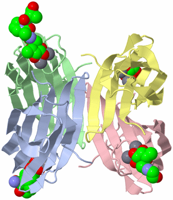 Image Asym./Biol. Unit