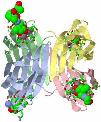 Image Asym./Biol. Unit - sites