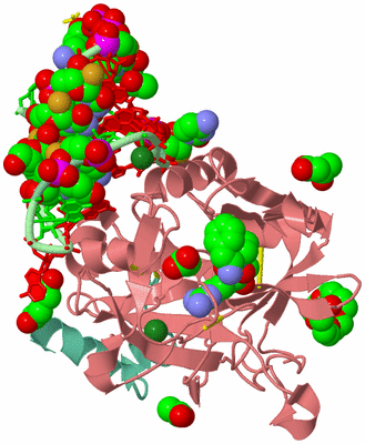 Image Asym./Biol. Unit