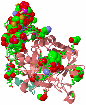 Image Asym./Biol. Unit - sites