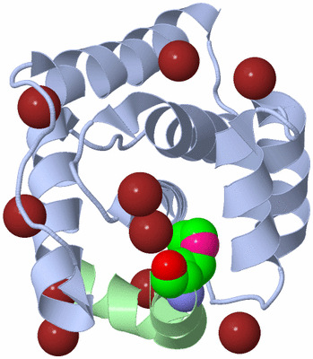 Image Biological Unit 1