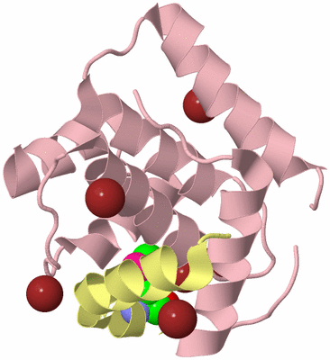 Image Biological Unit 2