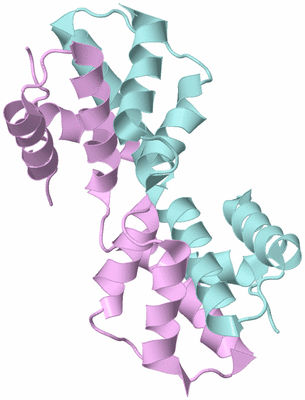 Image Biological Unit 3