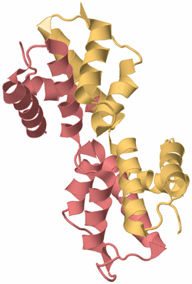 Image Biological Unit 4