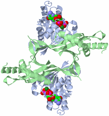 Image Biological Unit 1