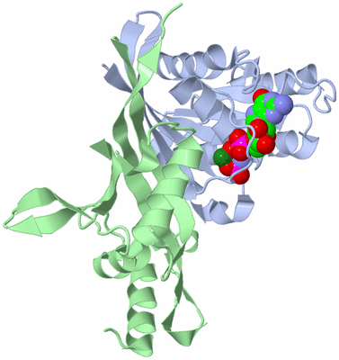 Image Biological Unit 2