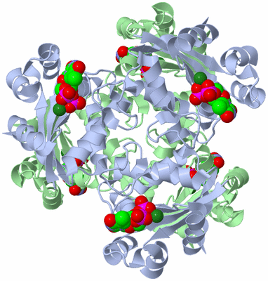 Image Biological Unit 1