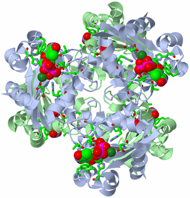 Image Biol. Unit 1 - sites