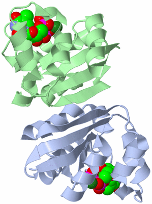 Image Biological Unit 2