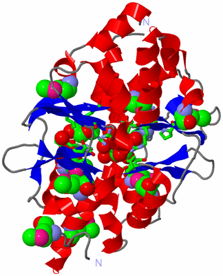 Image Asym./Biol. Unit - sites