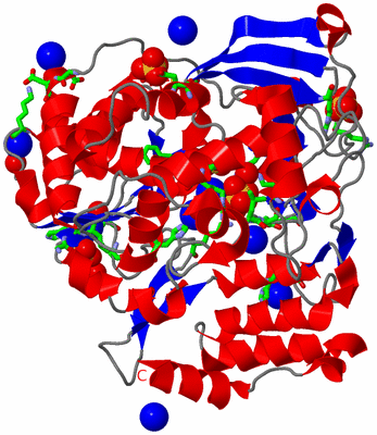 Image Asym./Biol. Unit - sites