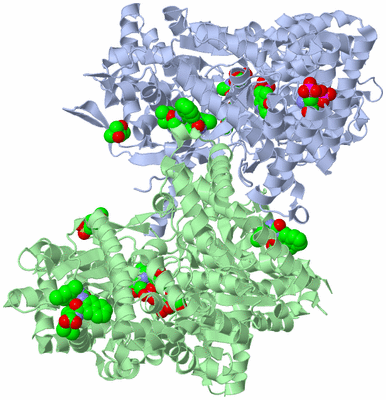 Image Asym./Biol. Unit