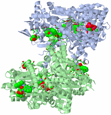 Image Asym./Biol. Unit - sites