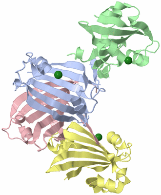 Image Biological Unit 1