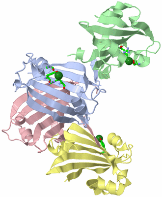 Image Biol. Unit 1 - sites