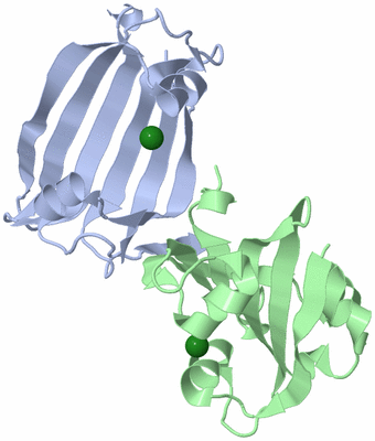 Image Biological Unit 2