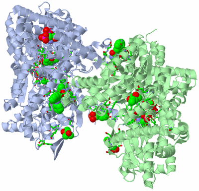 Image Asym./Biol. Unit - sites