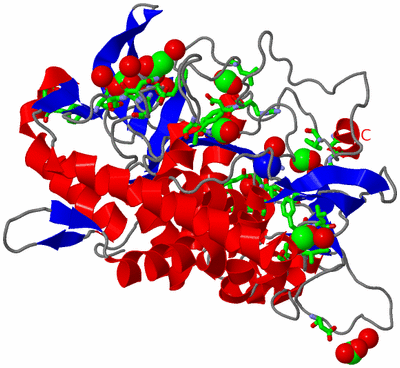 Image Asym./Biol. Unit - sites