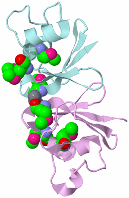 Image Biological Unit 3